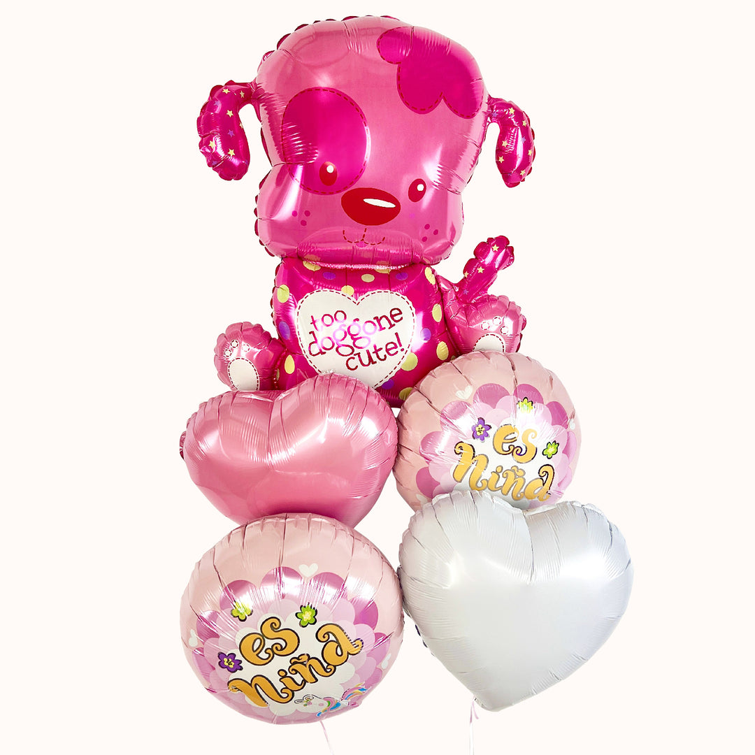 Bouquet Globos con Helio - Nacimiento / Baby Shower