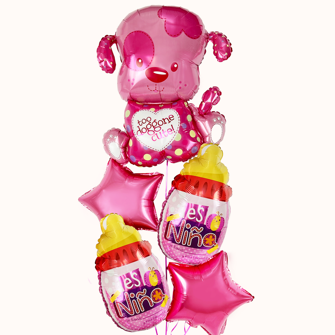 Bouquet Globos Nacimiento Perrito - Es Niña